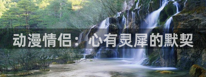 免费58动漫